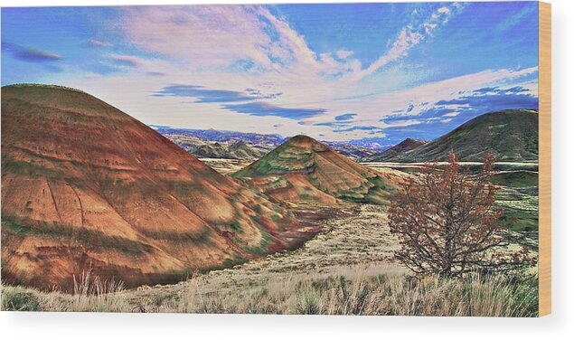 Painted Hills Wood Print featuring the photograph Oregon Painted Hills Before Dawn by John Christopher