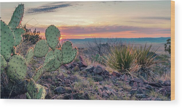 Prickly Pear Wood Print featuring the photograph Perfect Imperfect by Slow Fuse Photography