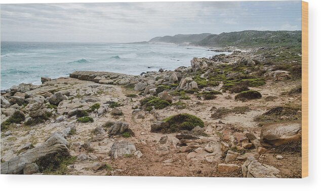 Africa Wood Print featuring the photograph Shoreline near the Cape of Good Hope. by Rob Huntley