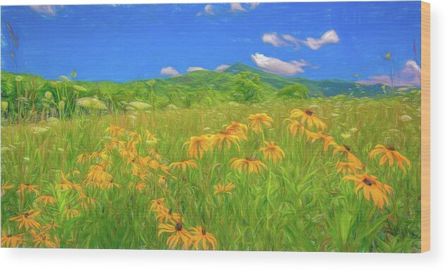 Summer Field Flowers Wood Print featuring the photograph Summer Meadow, Stylized by Marcy Wielfaert