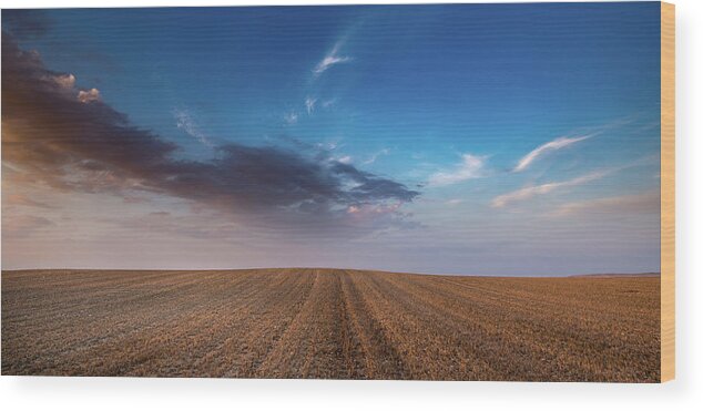 Nightfall Wood Print featuring the photograph Agricultural meadow field and cloudy sky during sunset. by Michalakis Ppalis
