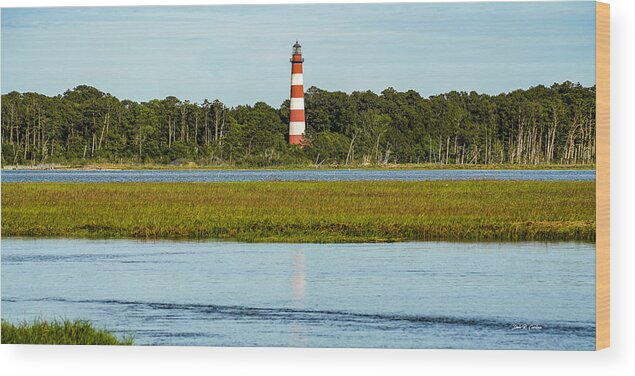 Lighthouse Wood Print featuring the photograph Assateague Lighthouse by Dale R Carlson