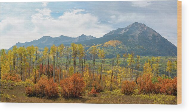 Autumn Wood Print featuring the photograph Beckwith Autumn by Aaron Spong