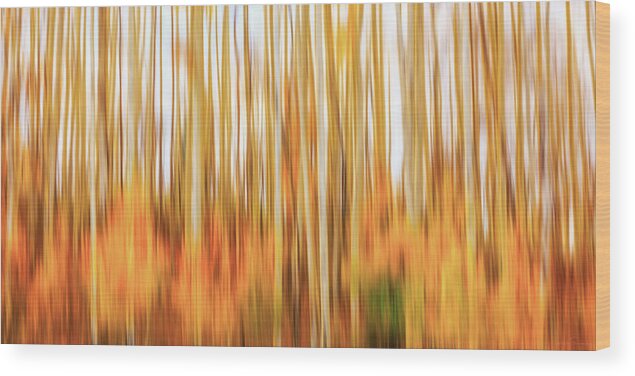Abstract Wood Print featuring the photograph Burn in Me by Rick Furmanek