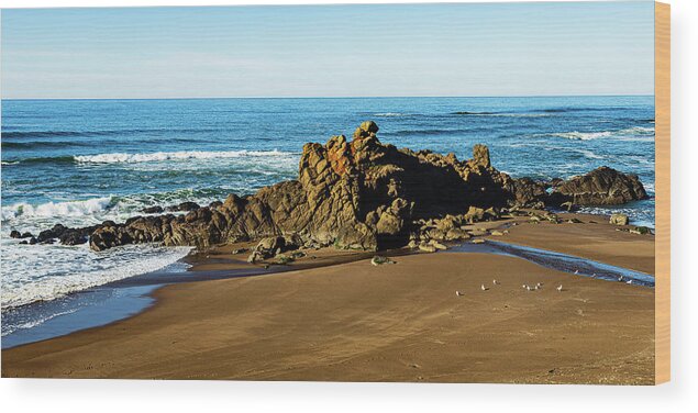 Landscape Wood Print featuring the photograph Coast Of Oregon-1 by Claude Dalley