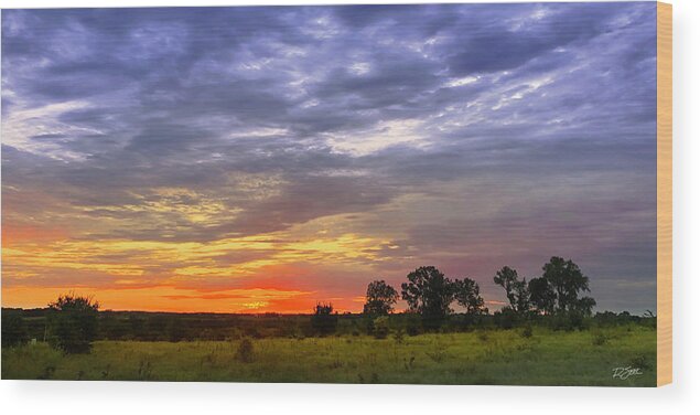 Kansas Wood Print featuring the photograph Evening Serenity in Late August by Rod Seel