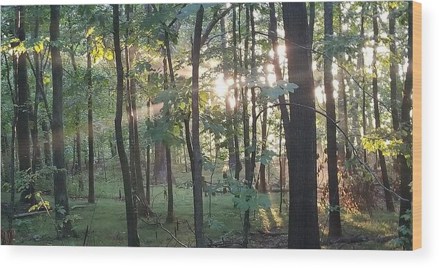  Wood Print featuring the mixed media Forest Light by John Brown