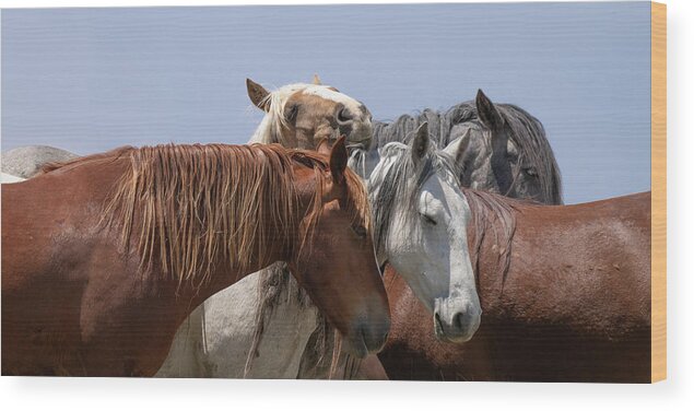 Panorama Wood Print featuring the photograph Happy to be Here by Mary Hone