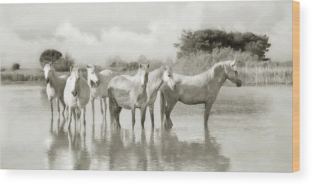 Horse Wood Print featuring the photograph Wild Horses Resting by Karen Lynch