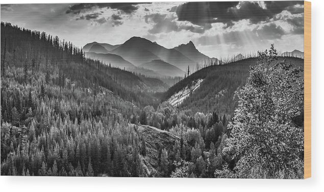 Glacier Park Wood Print featuring the photograph Montana Rocky Mountain Peaks At Glacier National Park Monochrome Panorama by Gregory Ballos