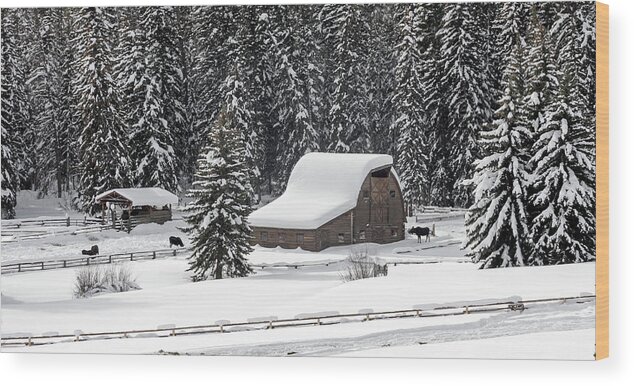 Snow Wood Print featuring the photograph Moose Ranch by Ronnie And Frances Howard