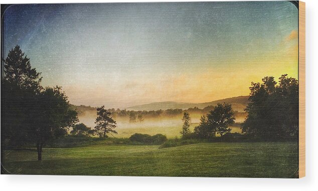 Fog Wood Print featuring the photograph Morning Dog Walk 3 by Robert Dann