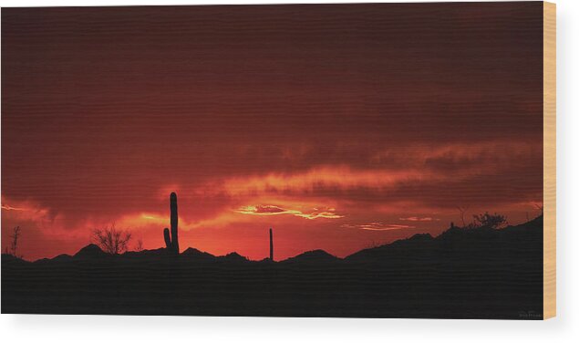 American Southwest Wood Print featuring the photograph New Beginnings by Rick Furmanek