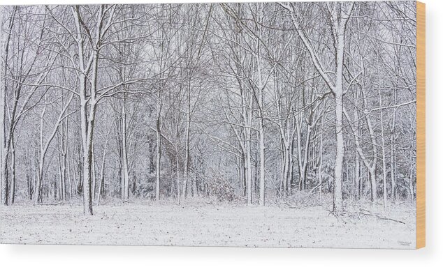 Snow Wood Print featuring the photograph Snowy Woods Pano by Jennifer White