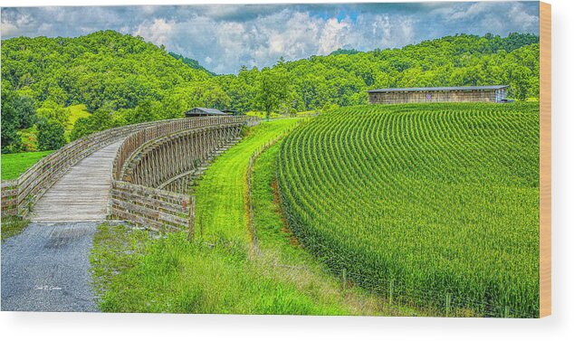 Trestle Wood Print featuring the photograph Summer Trail Symmetry by Dale R Carlson