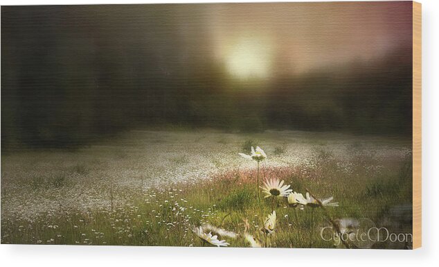  Wood Print featuring the photograph There is a field by Cybele Moon
