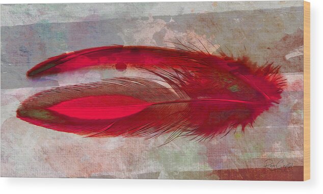 Feathers Wood Print featuring the photograph Tickle Me Red by Rene Crystal
