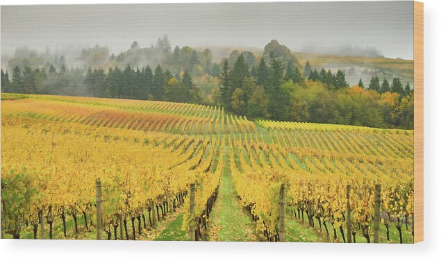Sokol-blosser Vineyard Wood Print featuring the photograph Vineyard Waves by Don Schwartz