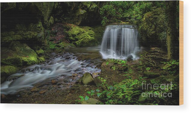 Panorama Wood Print featuring the photograph Waterfall in the Glen Panorama by Shelia Hunt