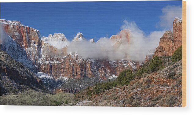 Panoramic Wood Print featuring the photograph Winter's Panoramic Suite in Zion National Park by Dave Diegelman