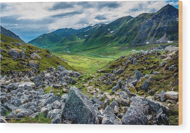 Hatcher's Pass Wood Print featuring the photograph Hatcher's Pass #1 by Andrew Matwijec