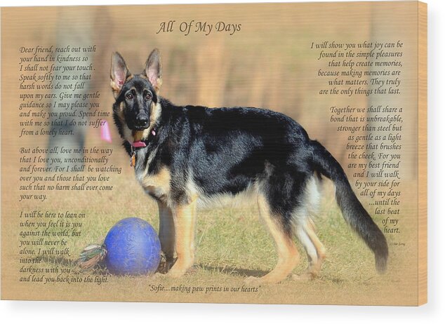 Quote Wood Print featuring the photograph Custom Paw Print Sofie by Sue Long