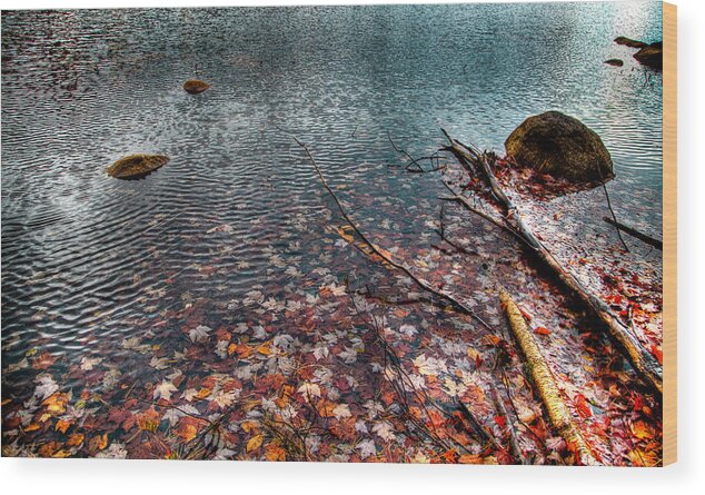 Adirondack's Wood Print featuring the photograph Leaves in the Lake by David Patterson