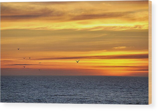 Scenic Wood Print featuring the photograph Ocean Sunset by AJ Schibig