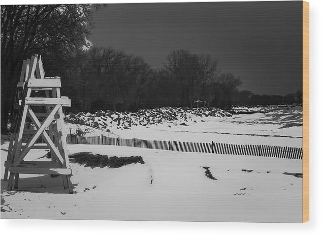 Winter Beaches Wood Print featuring the photograph Winter Sentinels by Kathleen Scanlan by Kathleen Scanlan
