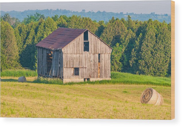 Barn Wood Print featuring the photograph 2 Line Barn 15087c by Guy Whiteley