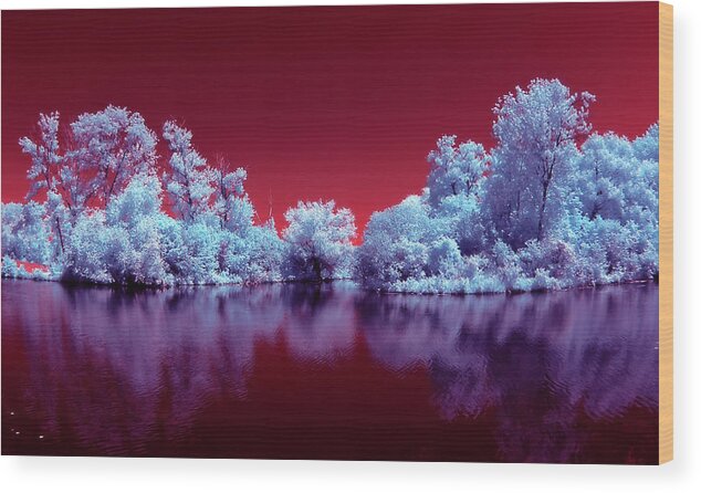 Trees Wood Print featuring the photograph Colorful Marsh by Stephen Pacello