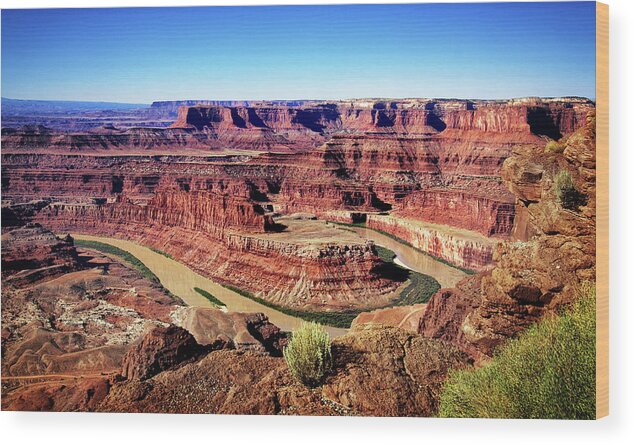 Dead Horse Point Wood Print featuring the photograph Dead Horse Point by Carolyn Derstine