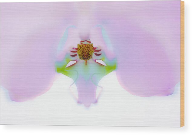 Orchid Wood Print featuring the photograph Orchid by Naoki Aiba