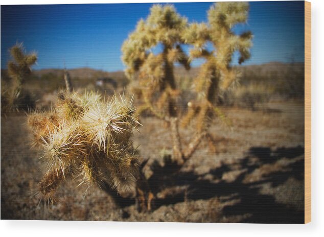 Cactus Wood Print featuring the photograph Pointed Threat by Mike Hill