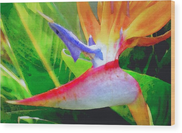 Bird Of Paradise Wood Print featuring the digital art Natural High by James Temple