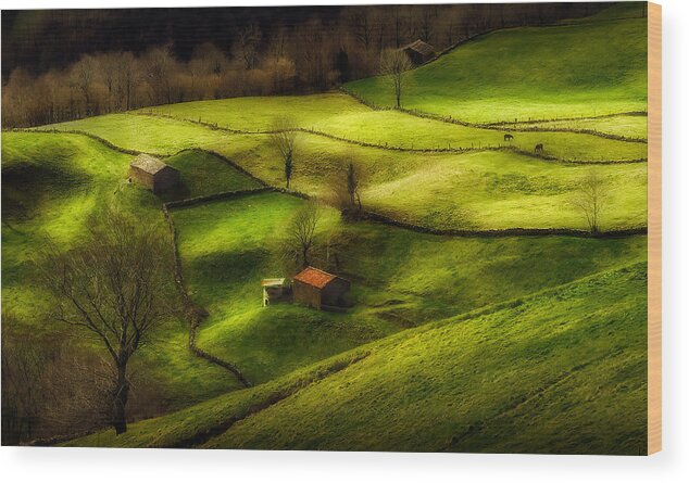 Countryside Wood Print featuring the photograph Pasiegos by Fran Osuna