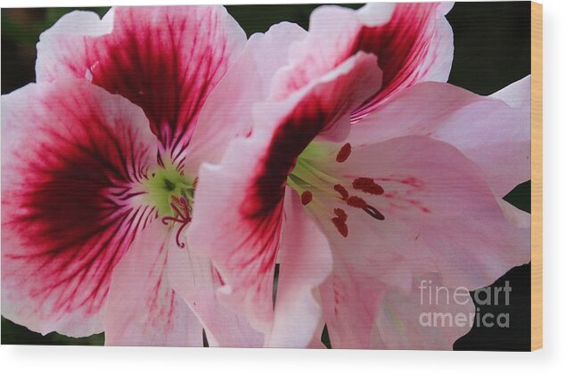 Small Wood Print featuring the photograph Ballet of Floral by J L Zarek