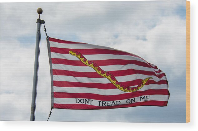 Don't Tread On Me Wood Print featuring the photograph Don't Tread On me #2 by Guy Whiteley