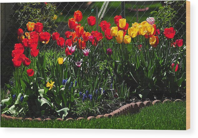 Flower Wood Print featuring the photograph Flower Garden #1 by Frozen in Time Fine Art Photography