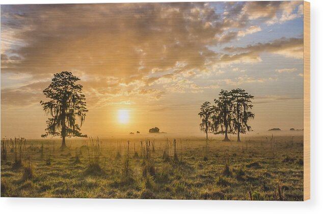 Dinner Island Ranch Wood Print featuring the photograph Everglades Sunrise by Bill Martin