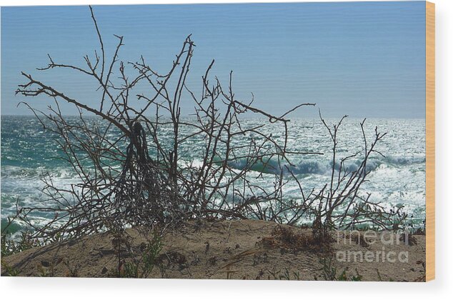 Branches Wood Print featuring the photograph Branches at beach by Nora Boghossian