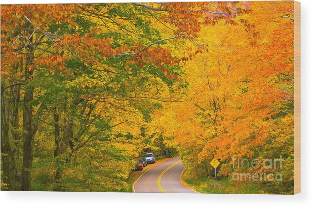 Scenic Vt Wood Print featuring the photograph Classic Vermont Foliage. #11 by New England Photography