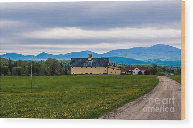 Vermont Dairy Farm Wood Print featuring the photograph Vermont Dairy Farm. #5 by New England Photography