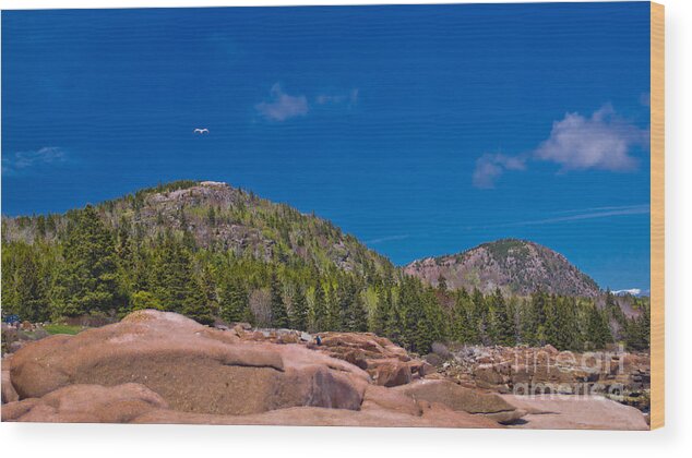 Acadia National Park Wood Print featuring the photograph Acadia National Park. #4 by New England Photography