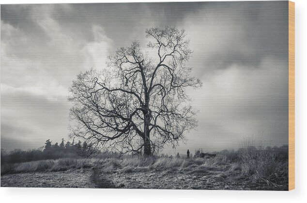 B&w Wood Print featuring the photograph A Little Perspective by Carrie Cole