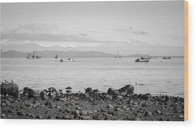 Seagulls Wood Print featuring the photograph A Moment In Time Herring Season by Roxy Hurtubise