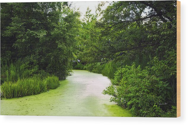 Pond Wood Print featuring the photograph A Pond Dream by Madeline Ellis