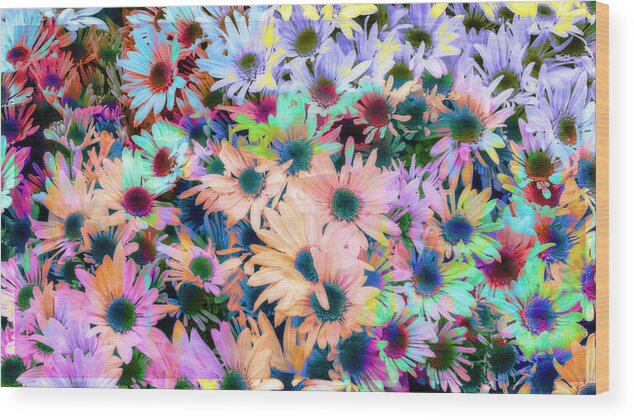 Bellagio Flowers Wood Print featuring the photograph Abstract Colored Flowers by Susan Stone