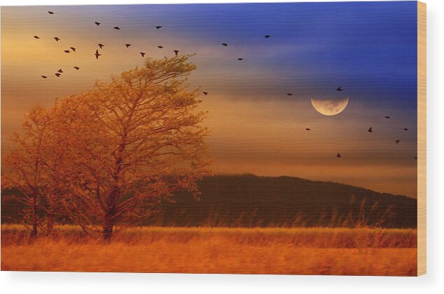 Landscape Wood Print featuring the photograph Against the Wind by Holly Kempe