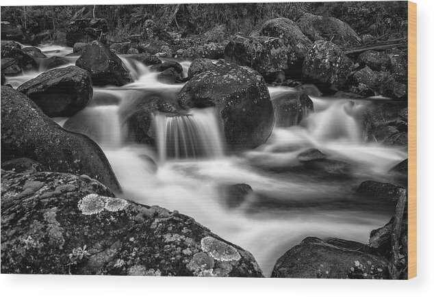 Alpine National Park Wood Print featuring the photograph Aqua Mystic by Mark Lucey